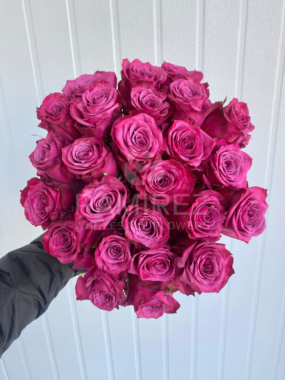 Blueberry Rose - 25st. - Ramirez Wholesale Flowers Inc