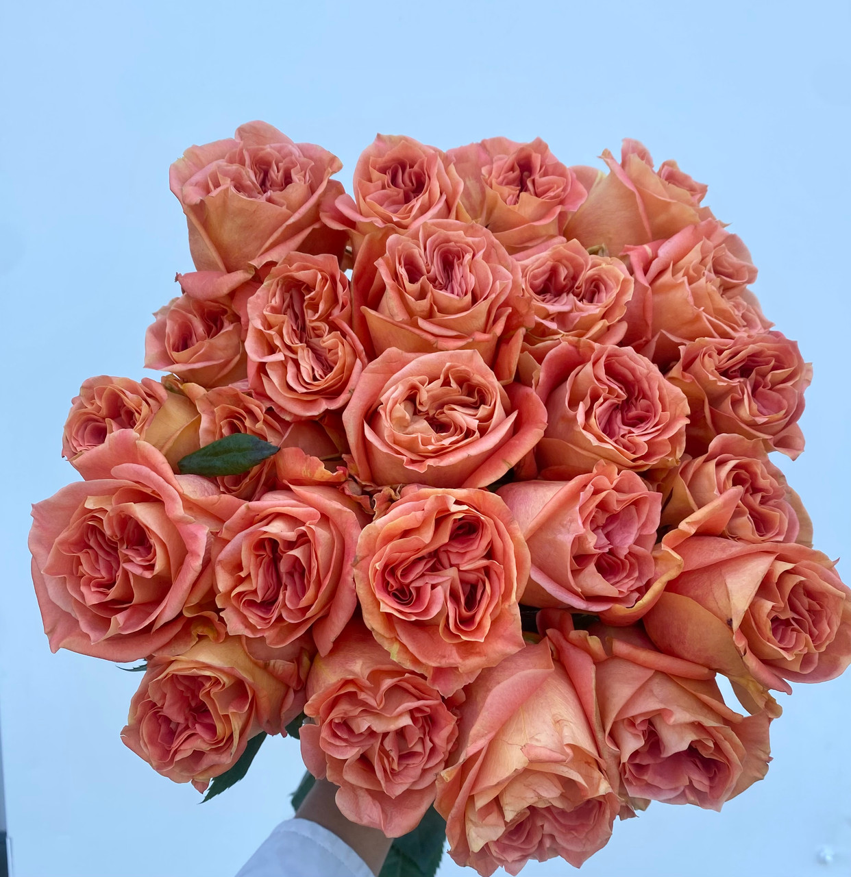 さ*き様 LAD MUSICIAN 25aw BASKET OF ROSES ビ さ*き様 LAD MUSICIAN 25aw BASKET OF ROSES ビ LAD MUSICIAN 25aw