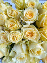 Creme De La Creme Rose - 125st. (5bu.)