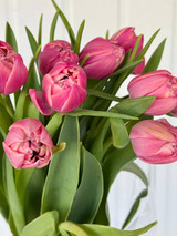 Tulip Double Columbus Pink Boxlot - 15 bunches (150st. total)