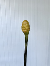 Ginger Shampoo Yellow - 1st.  