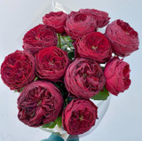Grand Jubilee Garden Roses - 12st