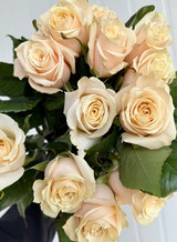 Champagner Roses - 25st. 