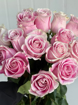 Rosita Vendela Roses - 25st.