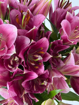 Oriental Lilies Corvette - 10st. Oriental Lilies Corvette - 10st.