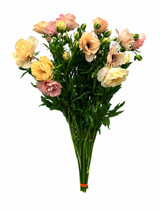 Butterfly Ranunculus Hestia - 10st.