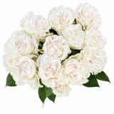 Cotton X-Pression Roses - 25st.