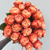 Kahala Roses bunch