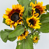Chocolate sunflower bunch
