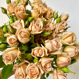 Sahara Spray Roses - 10st