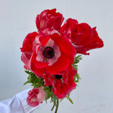 Anemones Red - 10 st.