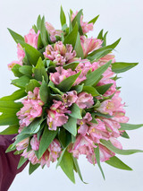 Alstroemerias Light Pink - 10st