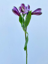 Alstroemerias Lavender - 10st