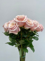 Mother Of Pearl Roses - 25st.