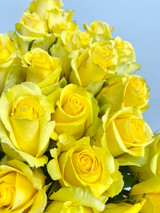 Tara Rose - 125st. (5 bunches)