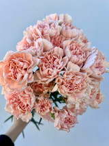 peach carnation wholesale