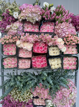 Wholesale Flower Market Serving San Diego County | Ramirez Wholesale Flowers