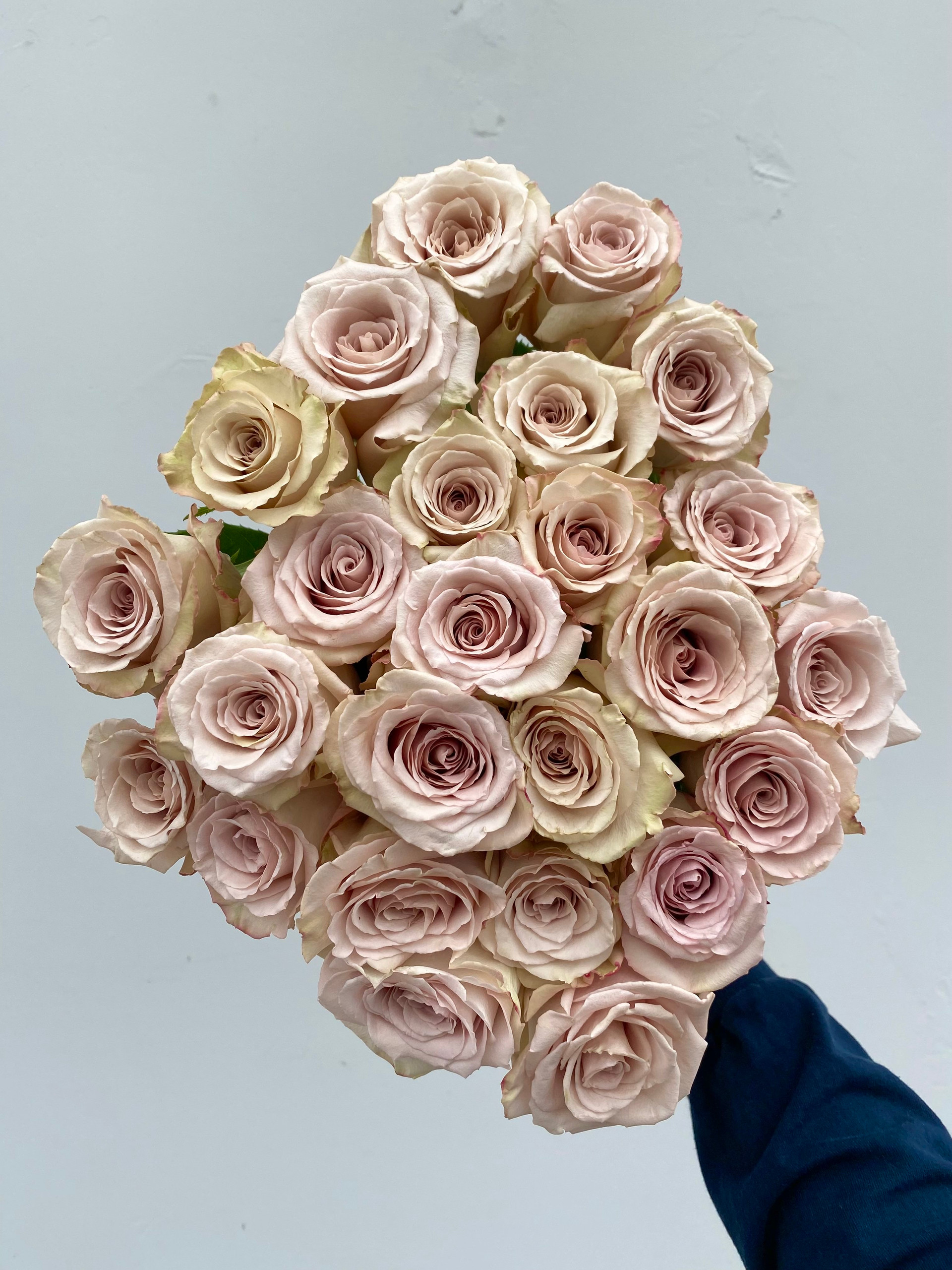 Shimmer Roses - 25 stems