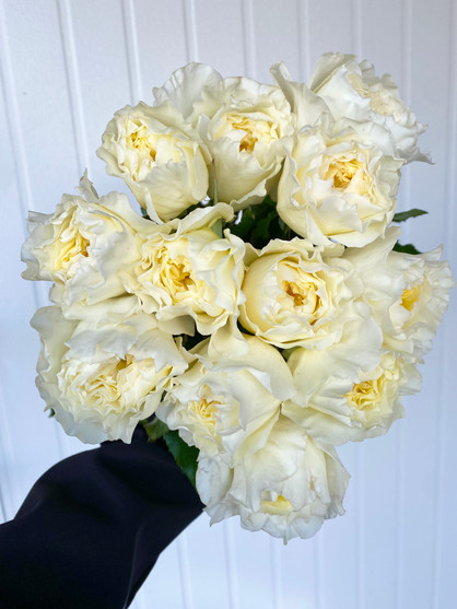 Mandarin X-Pression Garden Roses - 12st. - Ramirez Wholesale