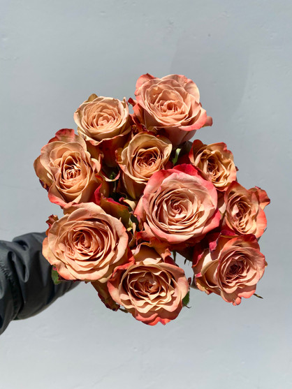 Cappuccino Roses - 10 stems