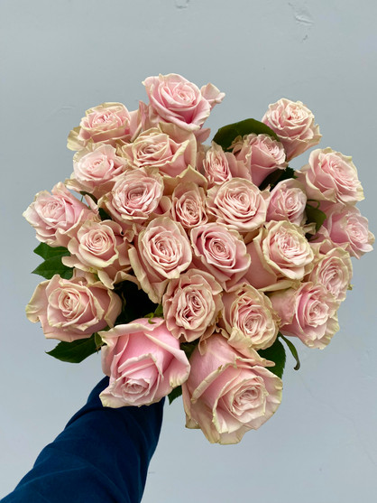 25 Light Pink Glitter Roses – Flowers By Crystal