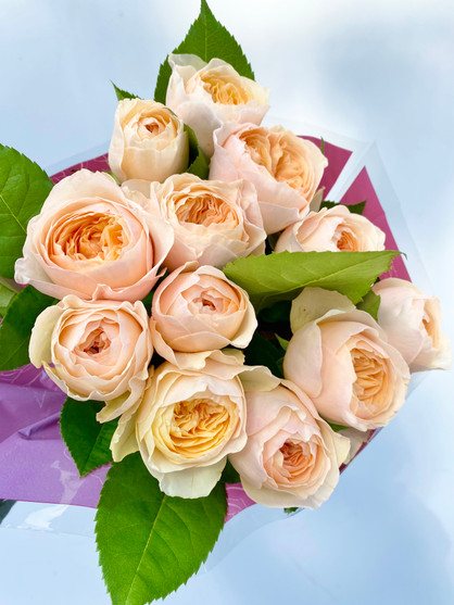 Helios Garden Rose (Ca-Grown) - 12st. - Ramirez Wholesale Flowers Inc