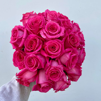 Pink X-Pression Roses - 25st. - Ramirez Wholesale Flowers Inc