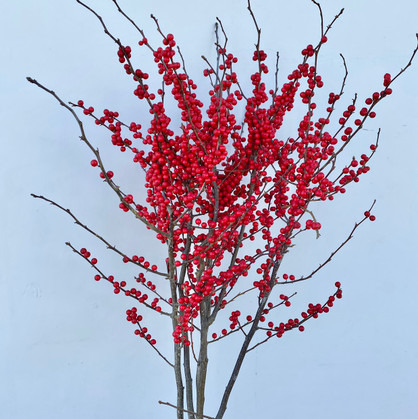 Ilex Red Berries  - 5st