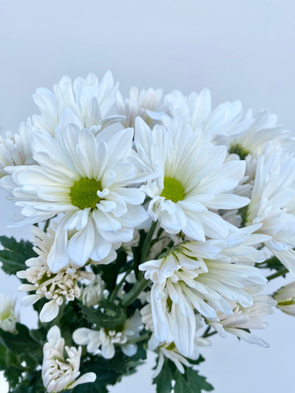 ★daisy★❤️ White Daisy Metal Wall Decor | Hobby Lobby | 5818430