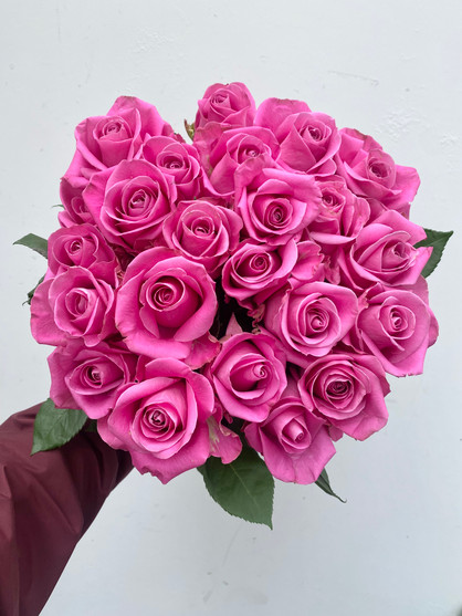 Mother Of Pearl Roses - 25st. - Ramirez Wholesale Flowers Inc