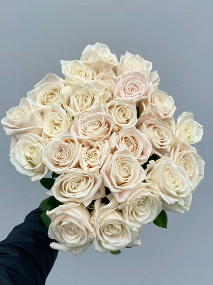 Playa Blanca (Pale Blush) - 125 stems (5bu.)