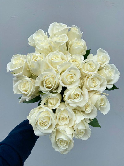 Tibet Roses (White) - 25 stem