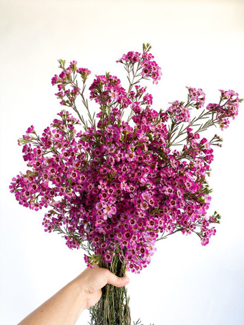 What does Ramirez Wholesale Flowers Provide?