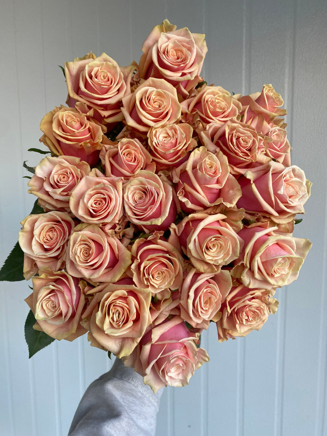 Pink Amaretto Roses - 25st. - Ramirez Wholesale Flowers Inc