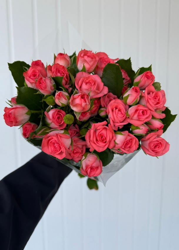 Garden Spray Rose Nemo Ca-Grown - 8st. - Ramirez Wholesale