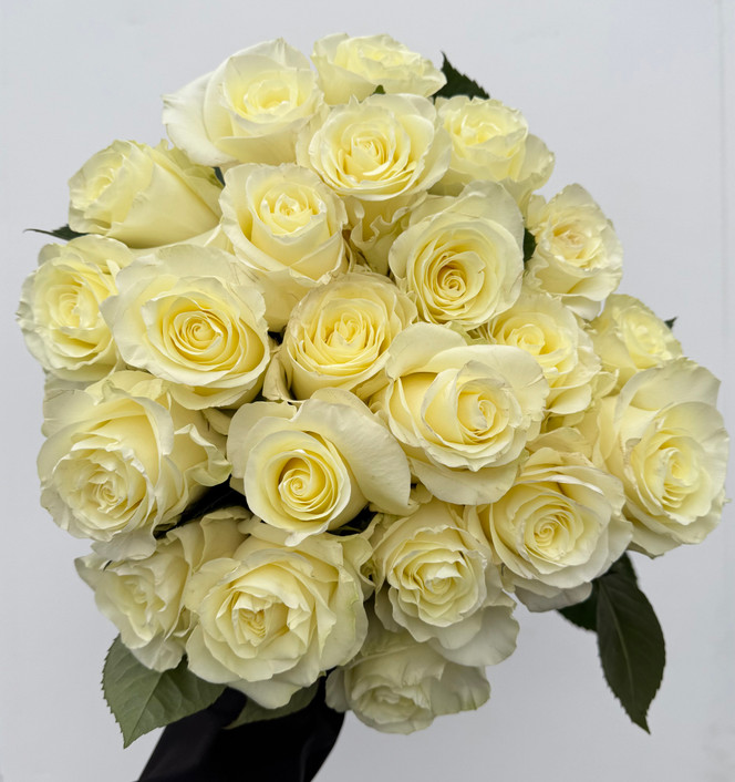 その他 rose Buy Wholesale Dark X-Pression Garden Rose in Bulk - FiftyFlowers