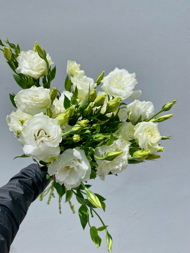 Lisianthus White  - 5 stems