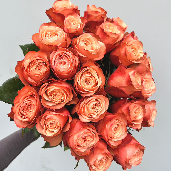 Kahala Roses bunch