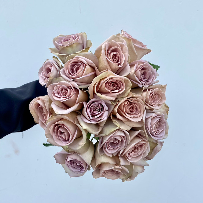 Amnesia Rose - 25st - Ramirez Wholesale Flowers Inc