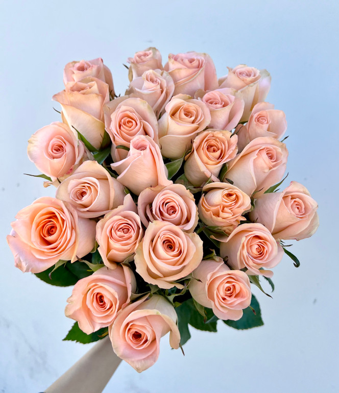 Tiffany Roses - 25st - Ramirez Wholesale Flowers Inc
