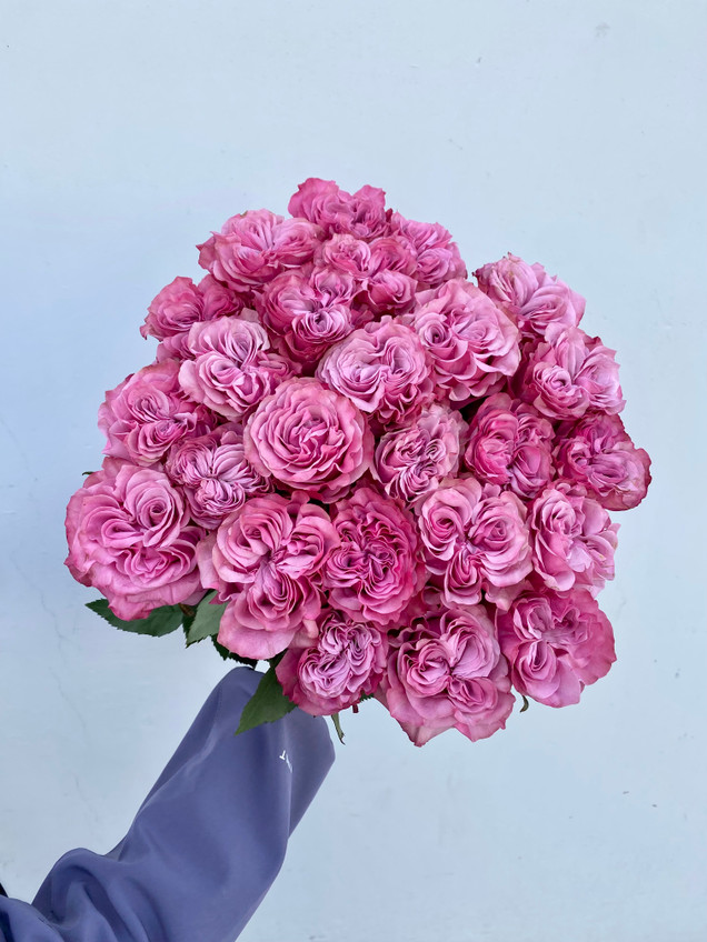Country Blue Roses - 25st - Ramirez Wholesale Flowers Inc