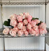 Pomarosa Roses - 25st.