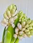 Hyacinth Creamty Blush Pink - 10st.