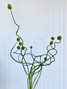 Allium Snake - 5st