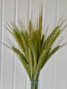 Wheat - 10st. (Ca-Grown)