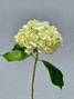 White Hydrangea Select - 5 stem