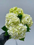 White Hydrangea Select - 5 stem