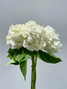 White Hydrangea Premium - 5 stem
