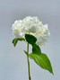 White Hydrangea Premium - 5 stem