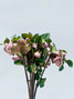 Hellebores Burgundy - 5 stems